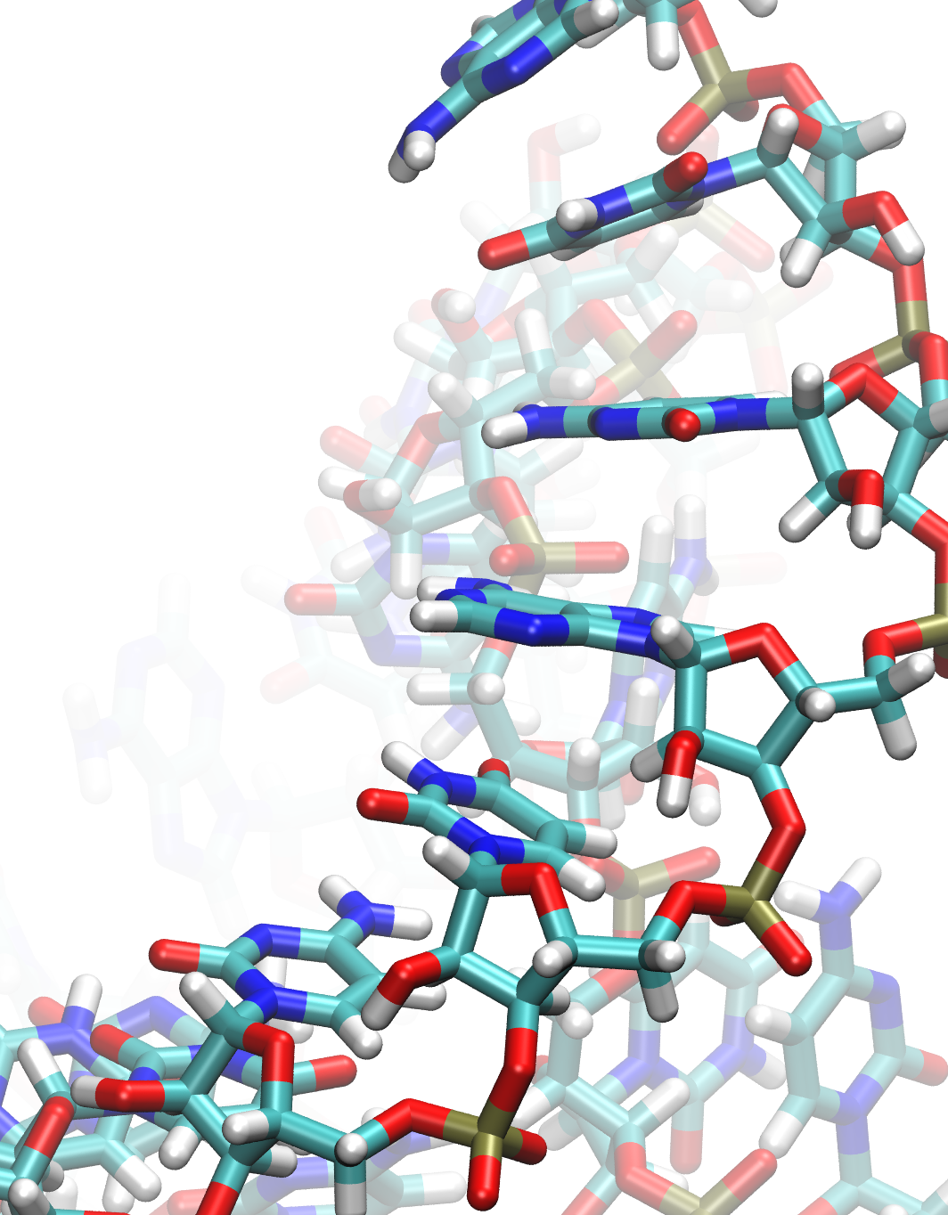 Molecular Model